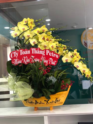 Hoa Lan Khai Trương 00021